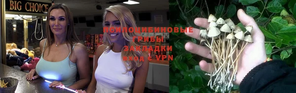 экстази Михайлов