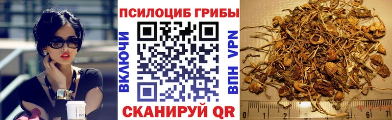 Псилоцибиновые грибы мицелий  Поворино 